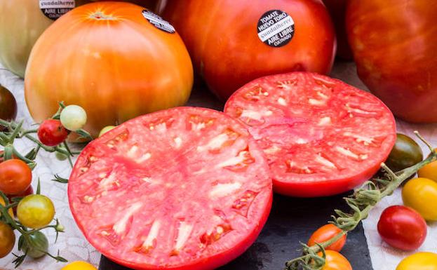 El Tomate Huevo de Toro del Guadalhorce se recolecta desde julio hasta septiembre