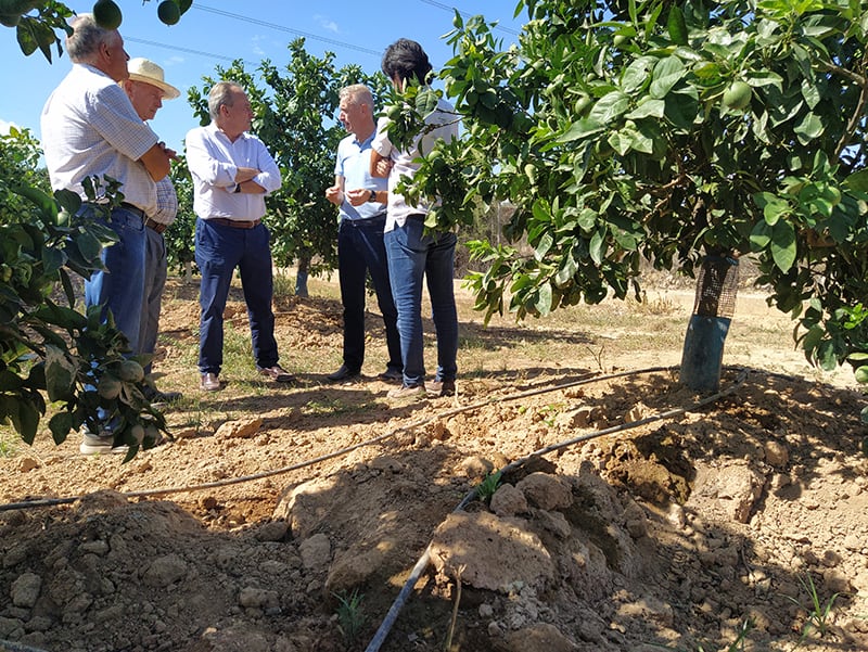 El conseller de Agricultura estudiará ayudas a los agricultores afectados por los destrozos de jabalíes que denuncia AVA-ASAJA