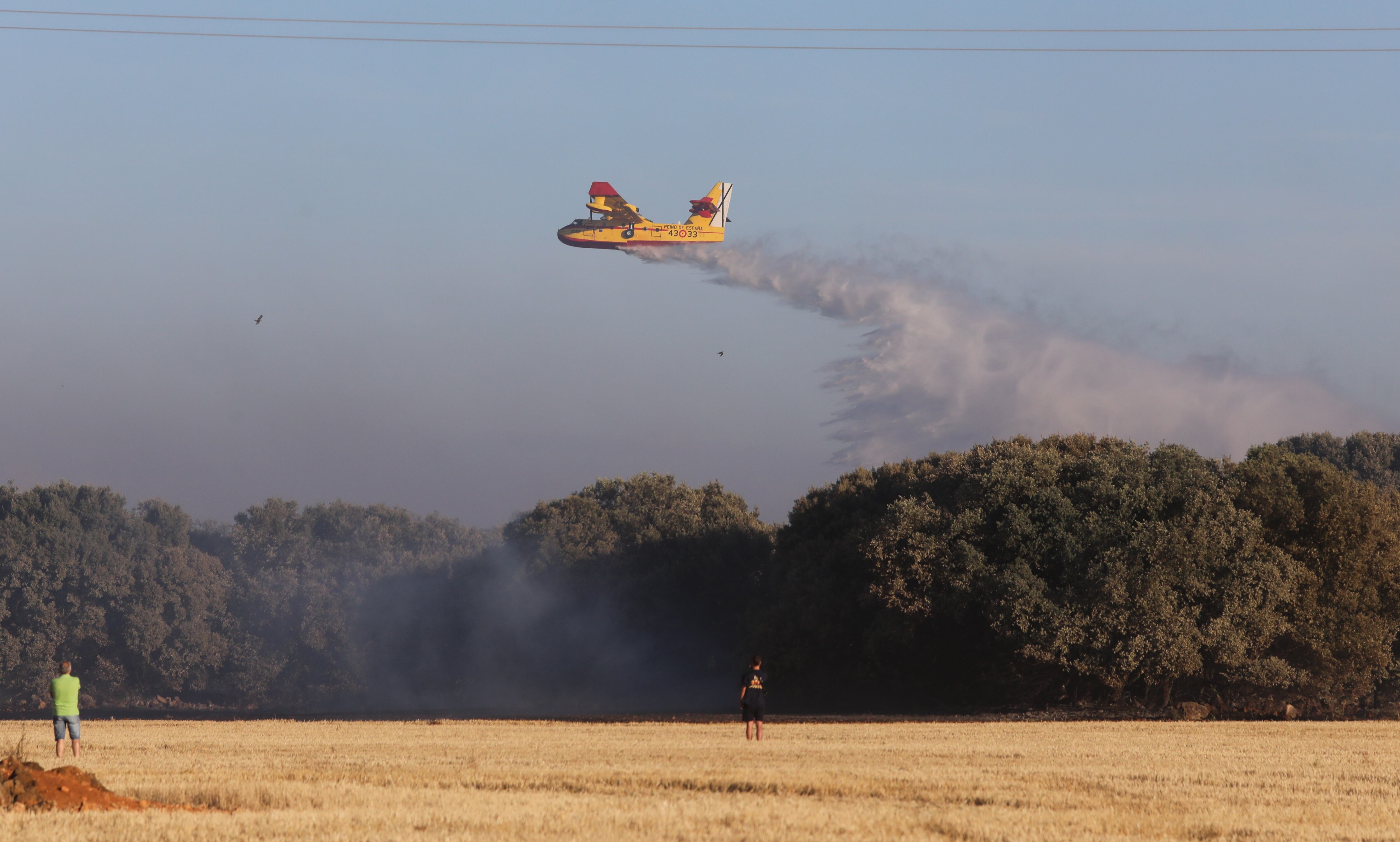 El incendio de Paredes de Monte (Palencia) alcanza el monte El Viejo ayudado por las fuertes rachas de viento Una veintena de medios aéreos y terrestres tratan de combatir las llamas que han dejado una densa humareda, visible desde la capital