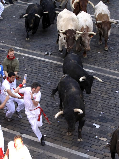 Los toros de la ganadería gaditana de Cebada Gago hacen su entrada a la Plaza Consistorial de Pamplona durante el segundo encierro de los sanfermines 2011, que ha finalizado con dos heridos por asta de toro.