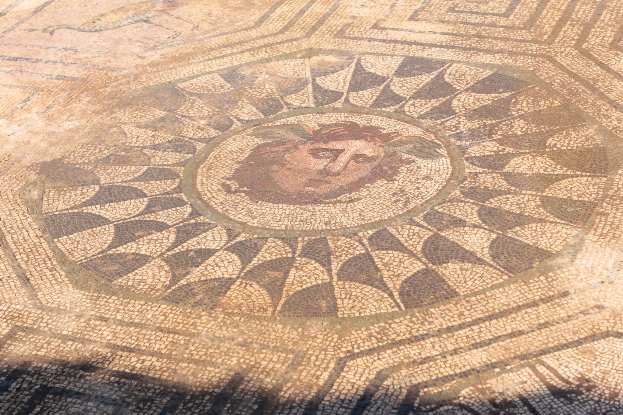 Excavación Mosaico Medusa en Huerta de Otero, Mérida