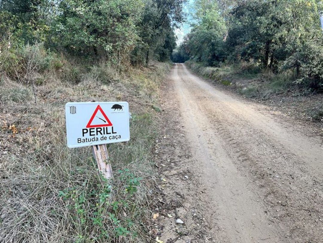 La plaga de porcs senglars és un problema creixent a Catalunya