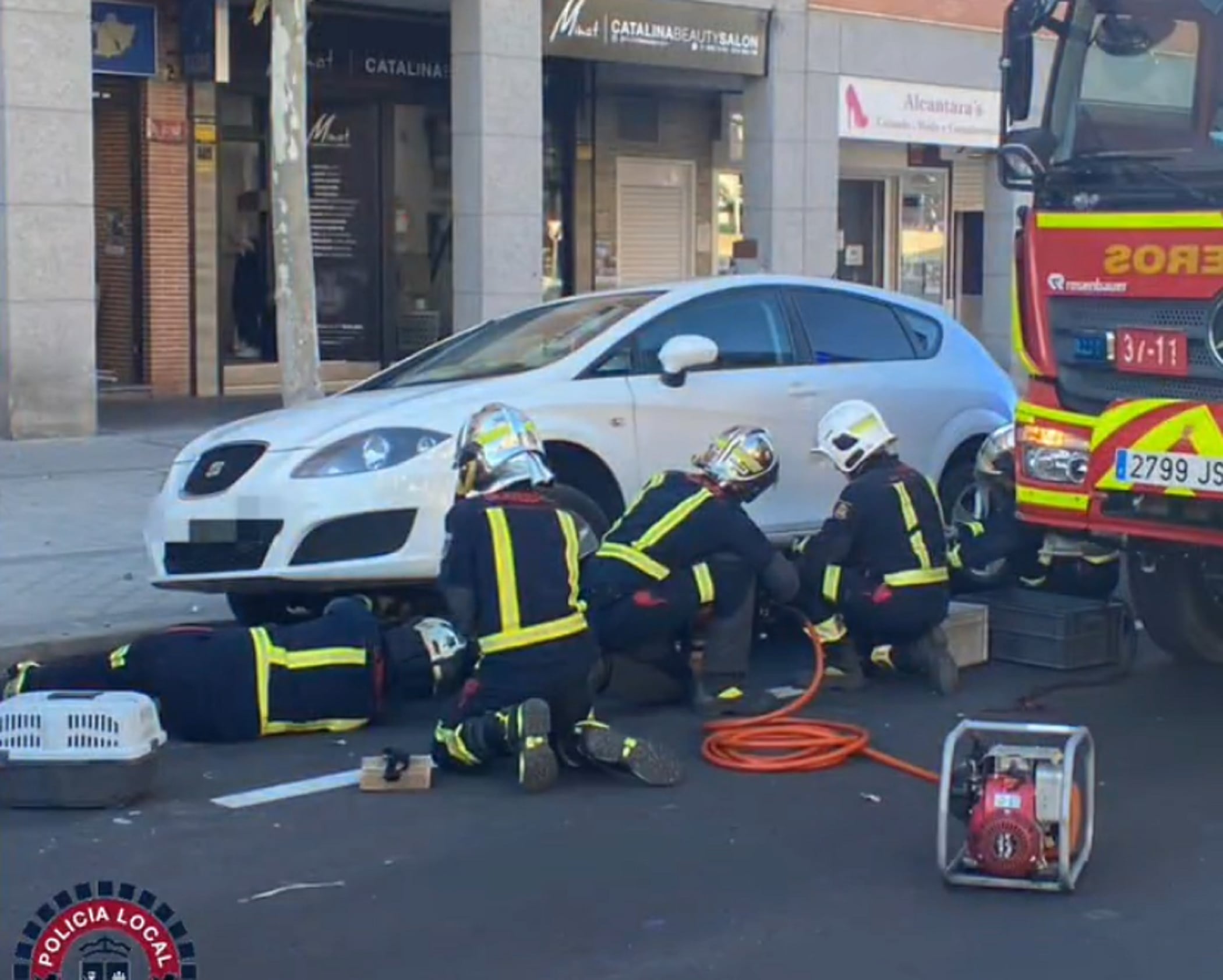 Bomberos rescatando al gato en Valdemoro.