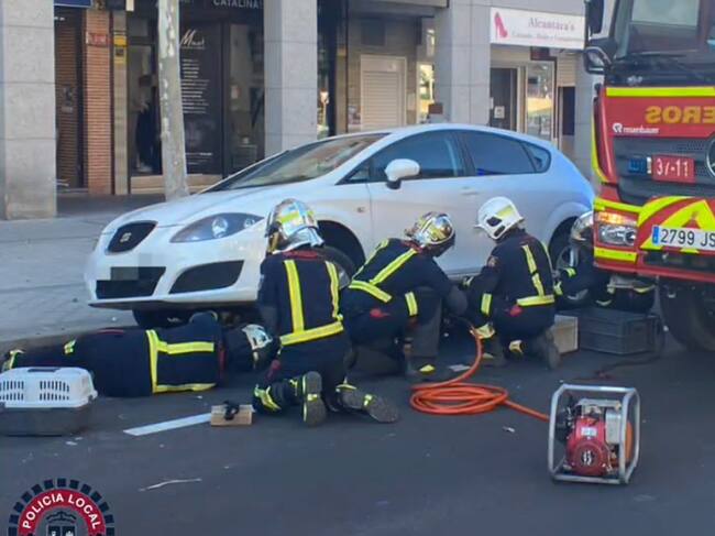 Bomberos rescatando al gato en Valdemoro.