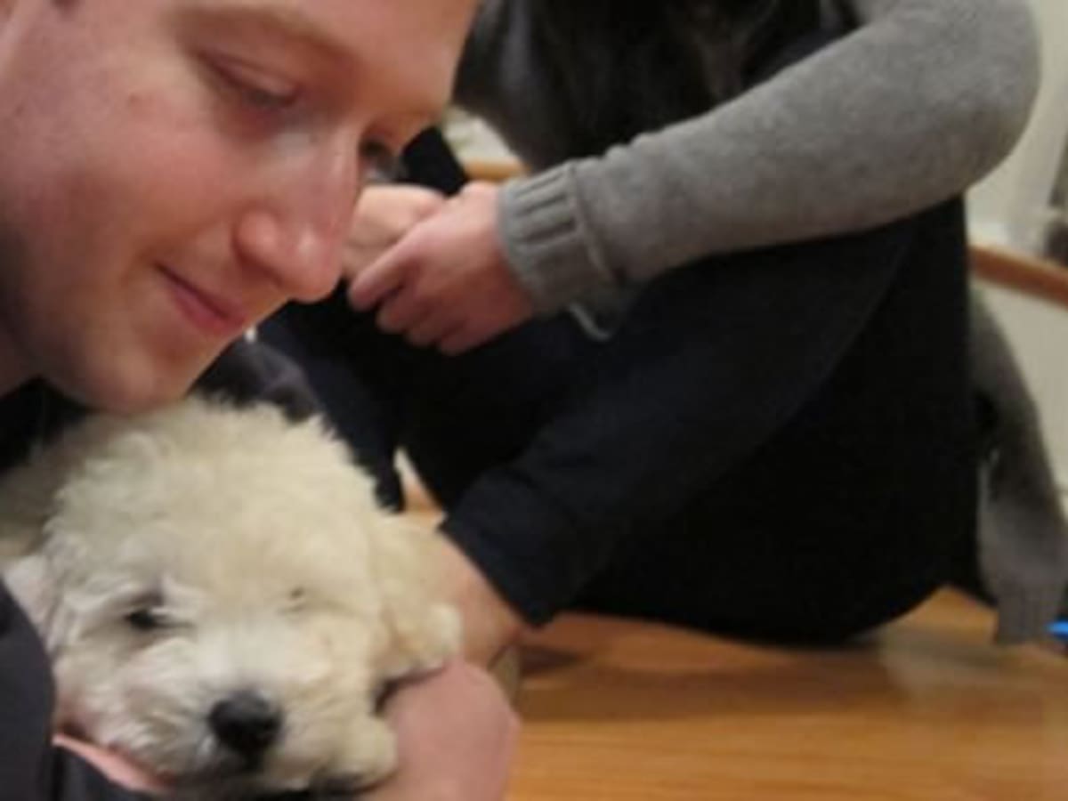 El perro de Zuckerberg tiene perfil en Facebook