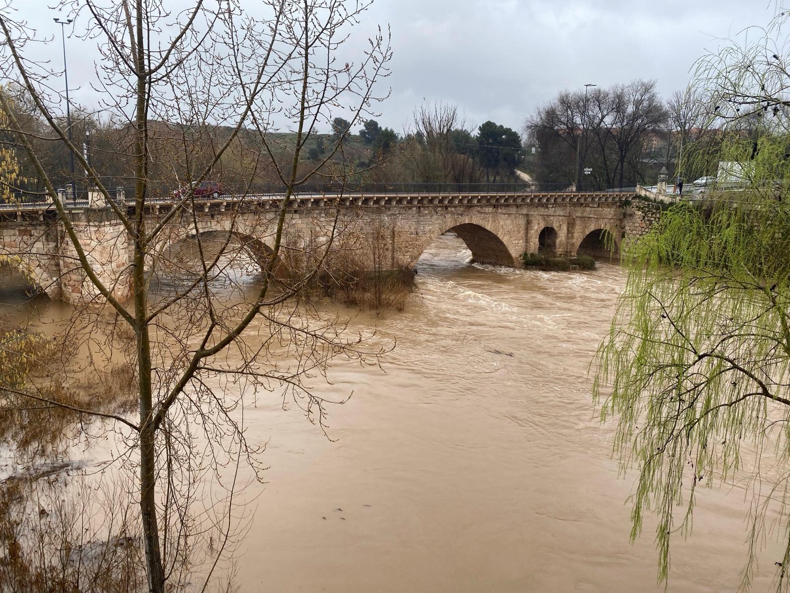 El Henares a su paso por Guadalajara en marzo de 2025