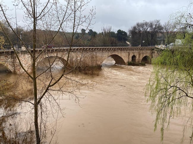 El Henares a su paso por Guadalajara en marzo de 2025