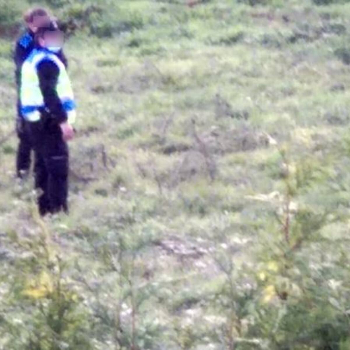 Libera denuncia que la Policía Local de Oleiros mató a un jabalí a 30 metros de viviendas de Lamastelle