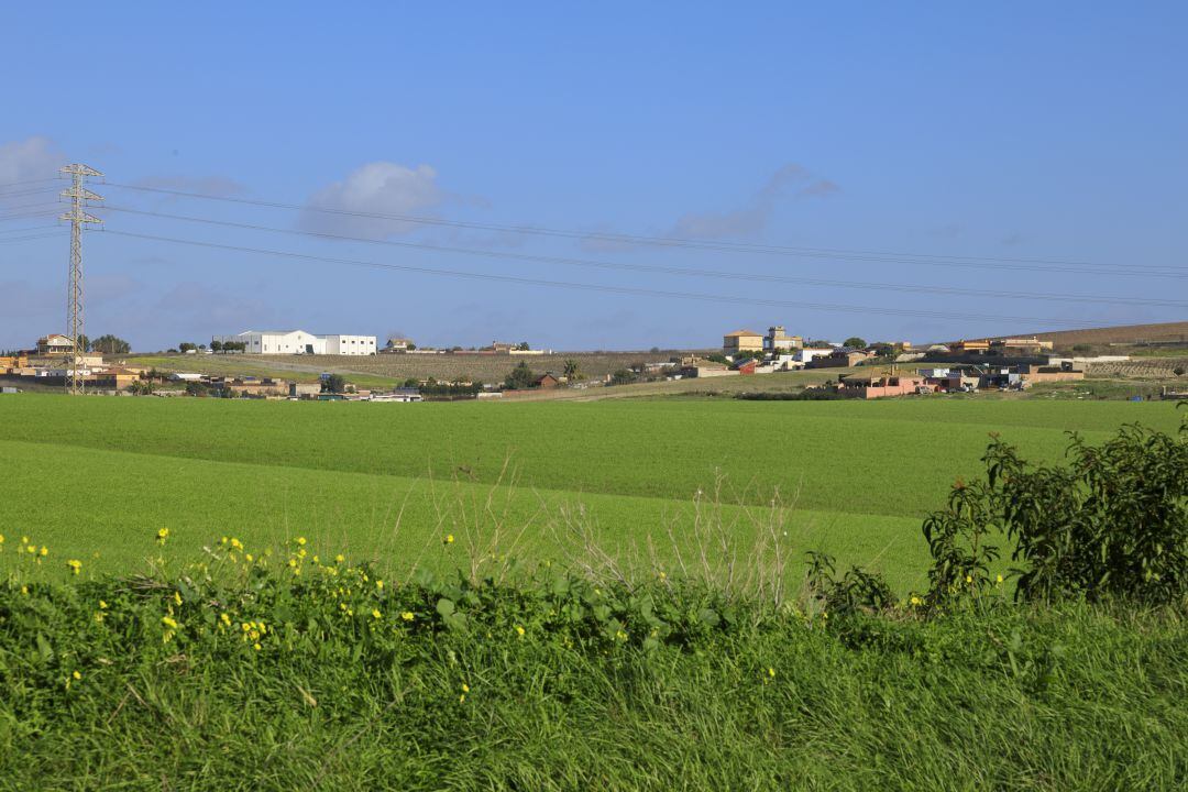 La zona de la campiña de Jerez será una de las comarcas beneficiadas por estas ayudas