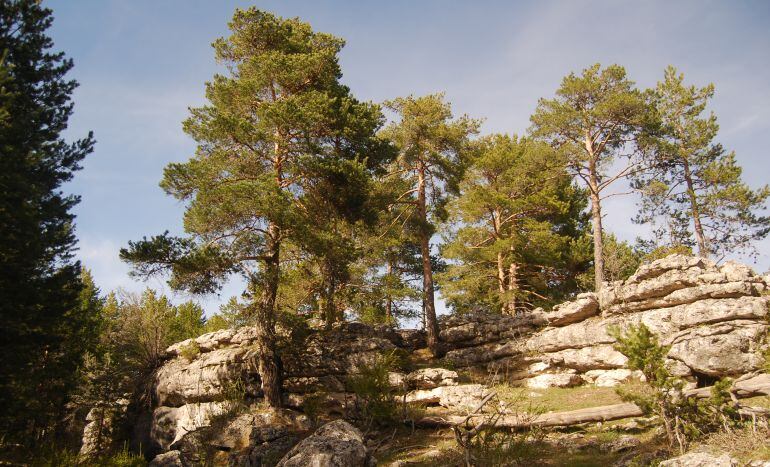 Tormagal de Masegosa, un paisaje kárstico que forma otra ciudad encantada en Cuenca
