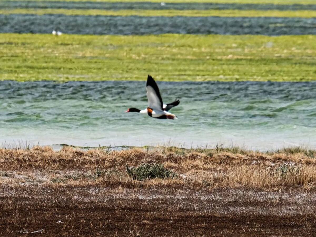 Terapia psicológica: ni miedo ni vergüenza