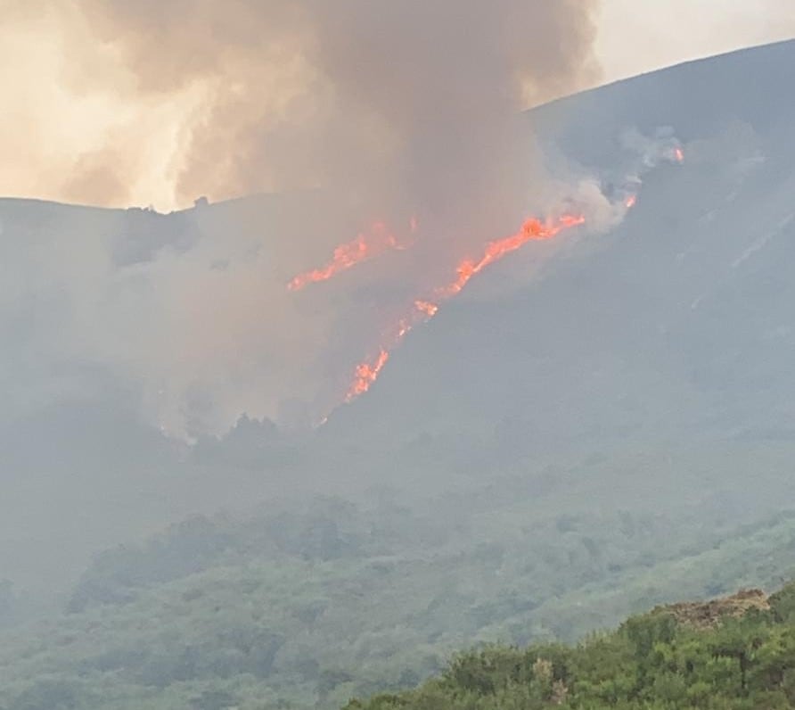 Imagen del incendio en los Aquilianos