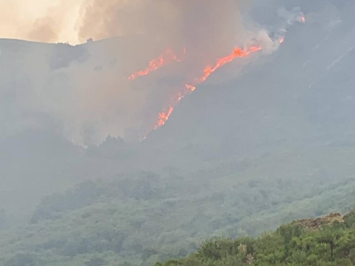 Aire Limpio lleva a Fiscalía la 'parálisis' del plan forestal de Ponferrada