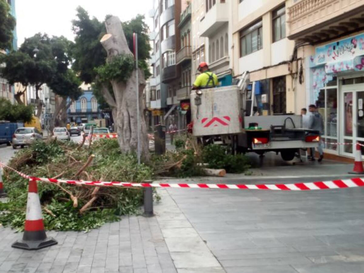 Sin sombra de laureles en San Bernardo