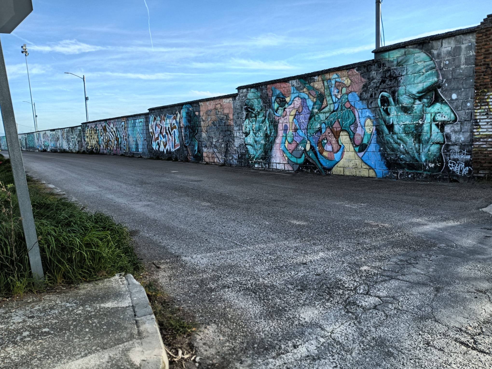 Camino hacia la subestación electrica que se urbanizará en Cuéllar