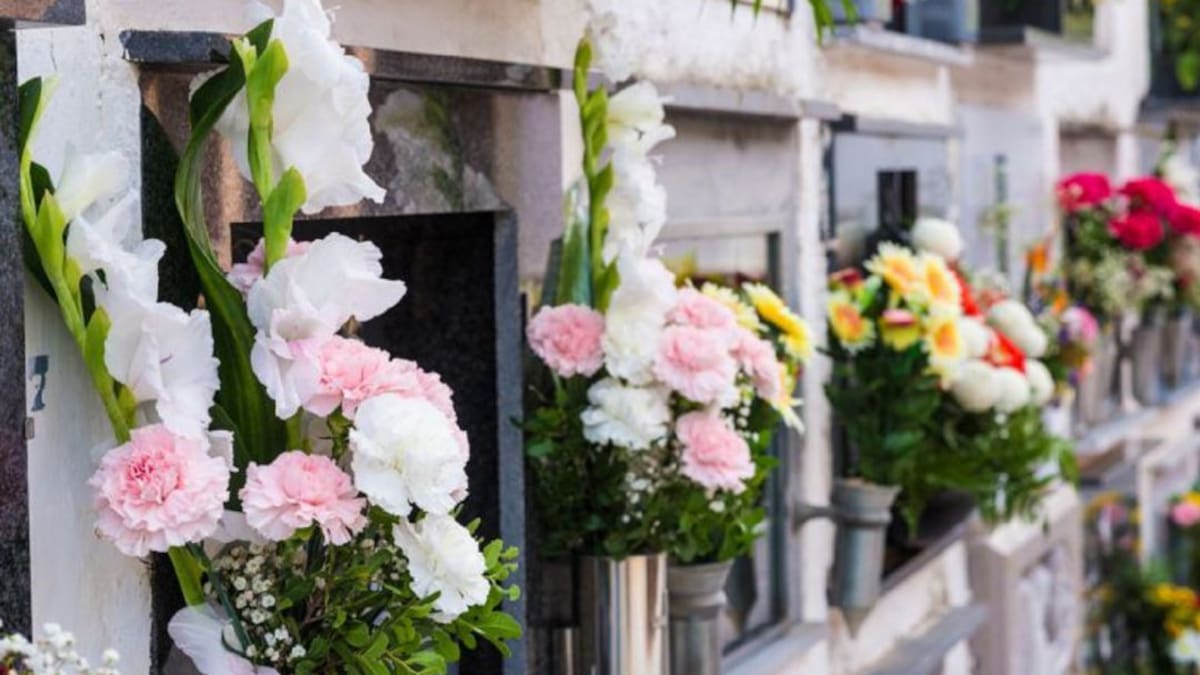 Crisantemos y claveles, las flores más vendidas en Todos los Santos