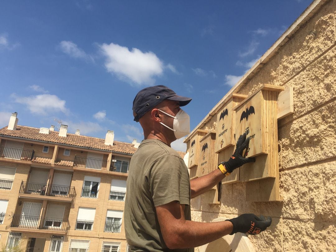 Instalación de cajas para murciélagos en Petrer 