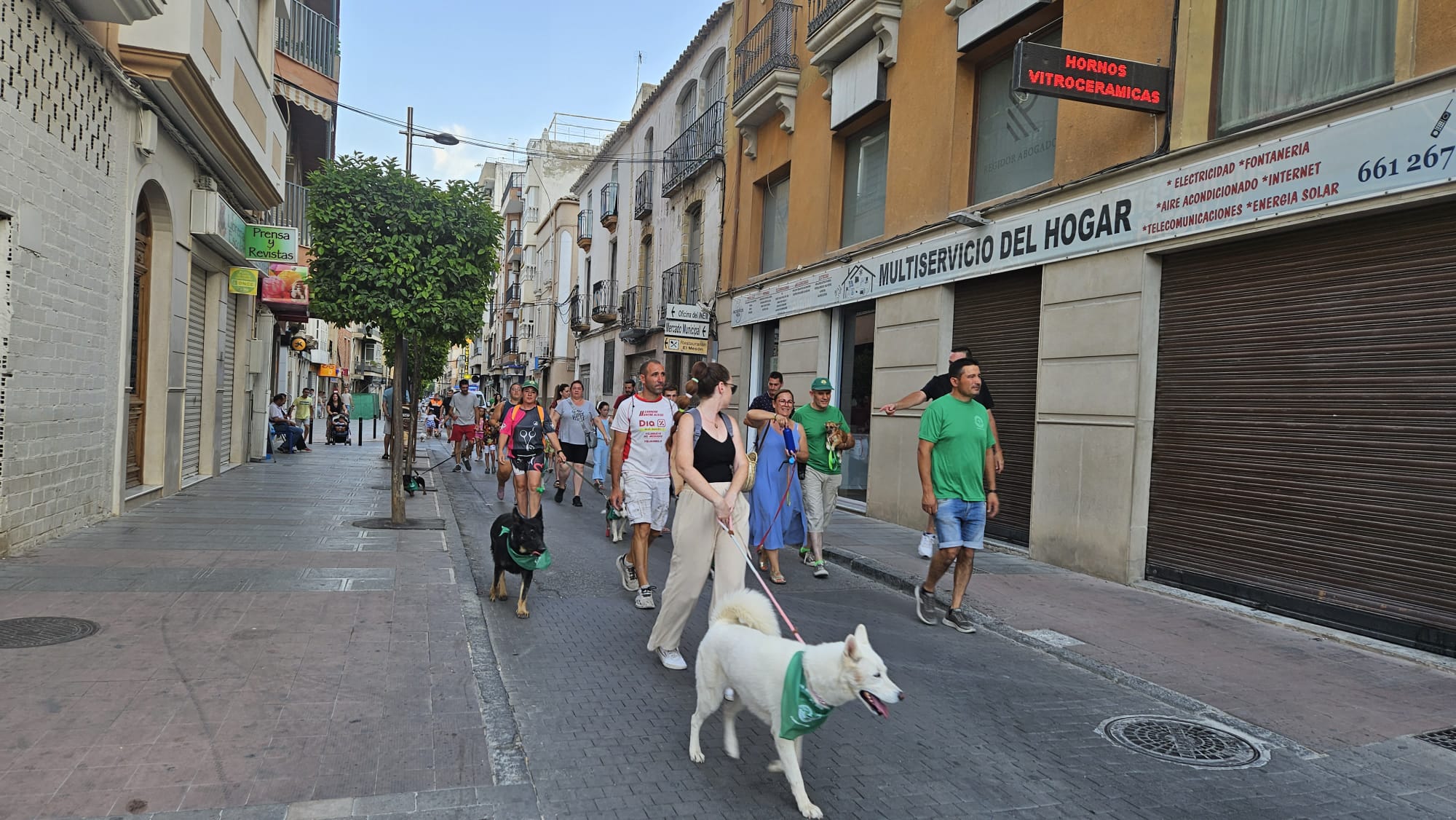 Llegada de la Can-Minata a la Plaza de España por la Calle General Fresneda