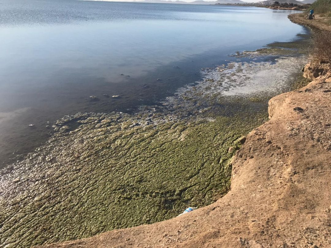 Degradación del Mar Menor a causa de los vertidos que llegan por la rambla del Albujón