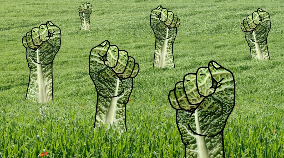 Así nació la palabra boicot.