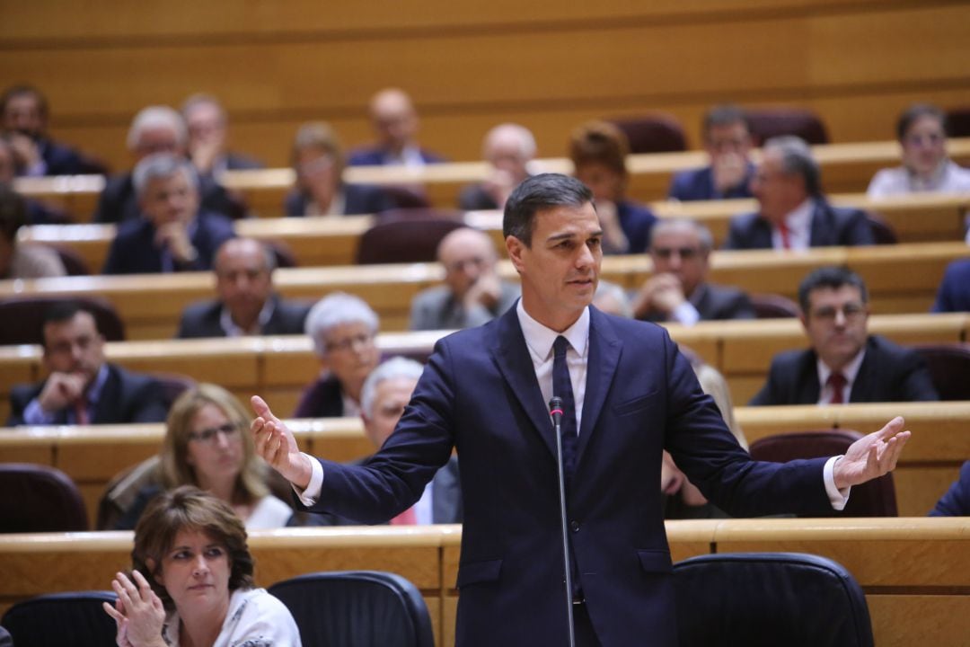 Pedro Sánchez en la sesión de control al Gobierno del Senado.