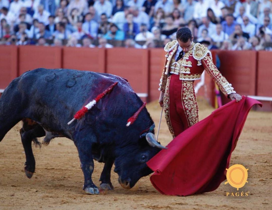 Pepe Moral en uno de los buenos naturales que le enjaretó al primer toro de su lote, tercero de la tarde, en la corrida de Miura del pasado año