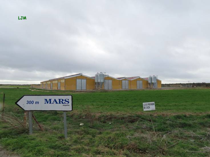 Ubicación de la macrogranja porcina