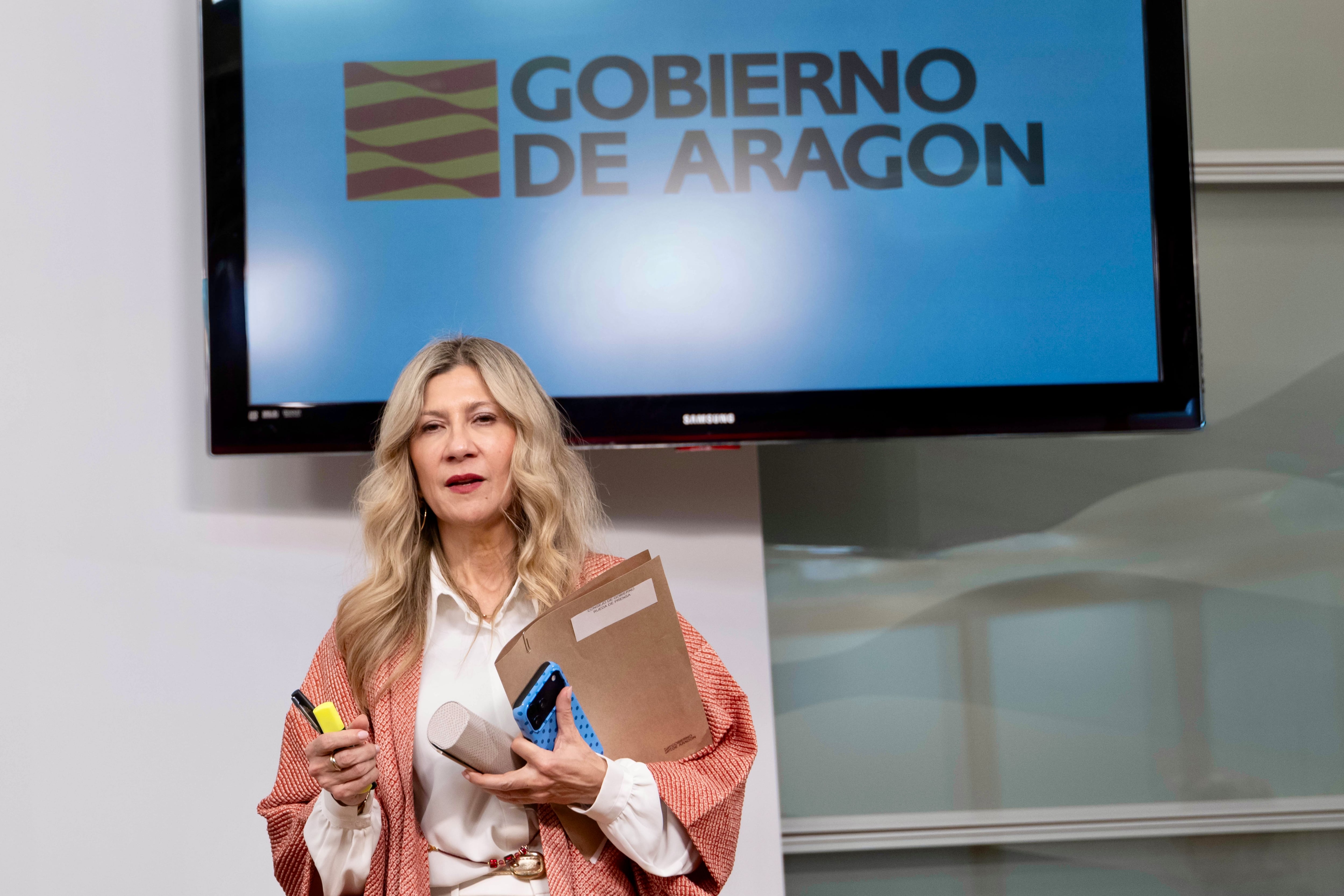 El Gobierno de Aragón critica la actuación del Ministerio de Transición en el Nudo Mudéjar