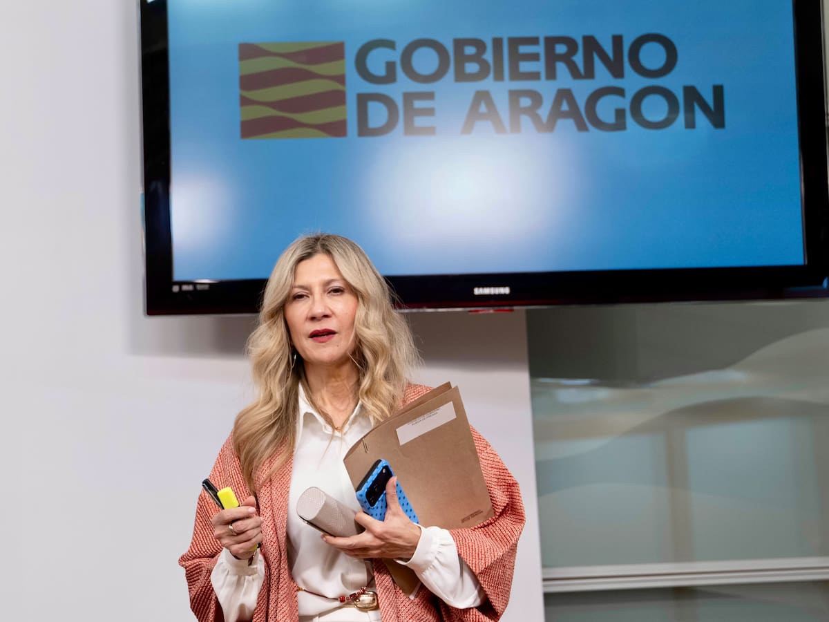 Aragón denuncia el “hachazo plagado de errores” del Ministerio al recortar a más de la mitad el proyecto de Endesa en el Nudo Mudéjar