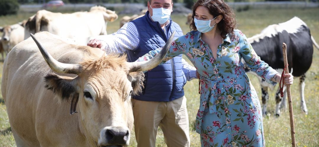 La presidenta madrileña, Isabel Díaz Ayuso, en su visita a Garganta de los Montes