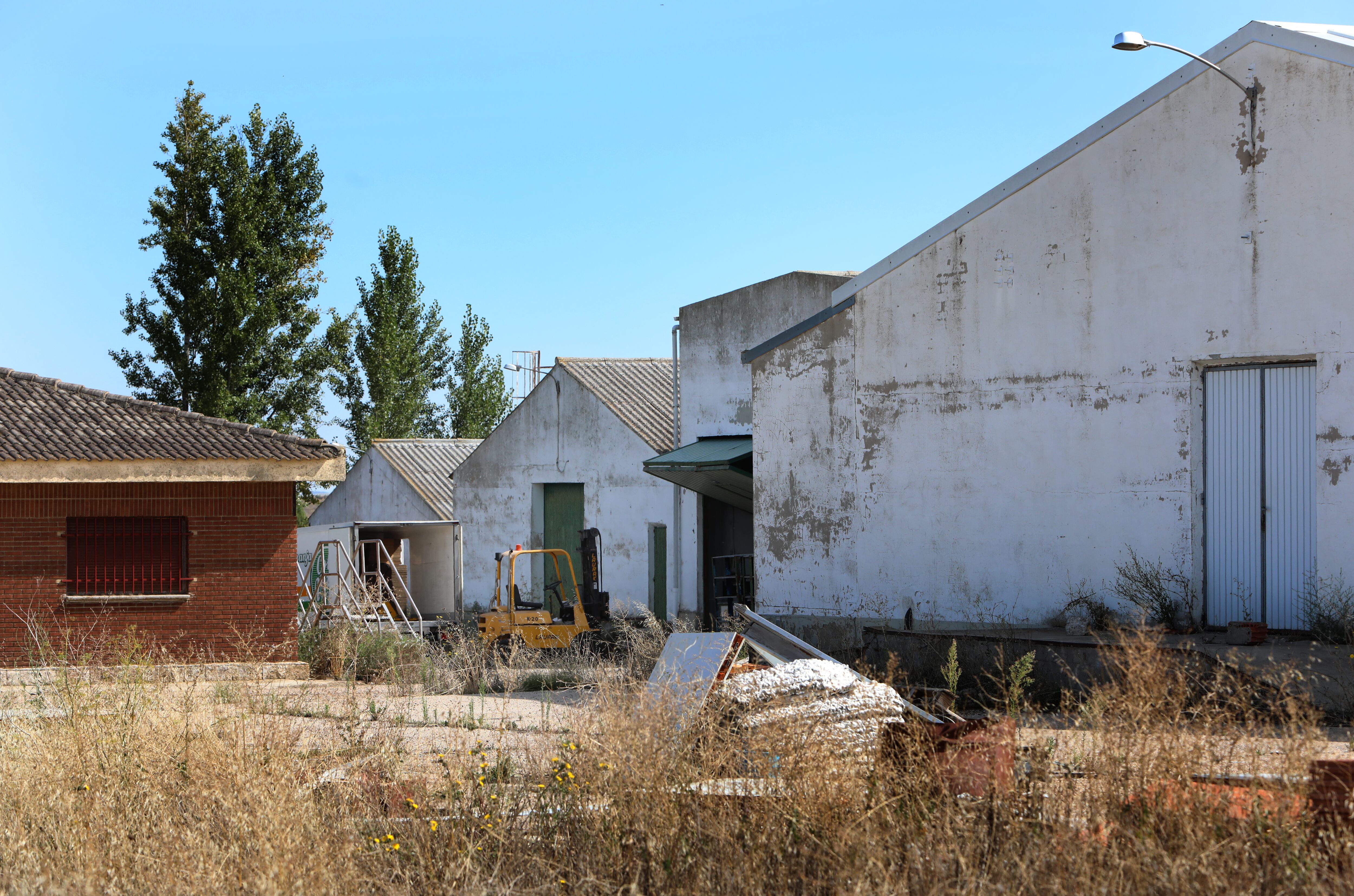 El portal especializado Escrapalia ha sacado a subasta pública una granja en Amusco (Palencia) por el precio de salida de 1 euro. El conjunto inmobiliario, de 43.812 metros cuadrados, está formado por dos naves industriales, un almacén y una vivienda