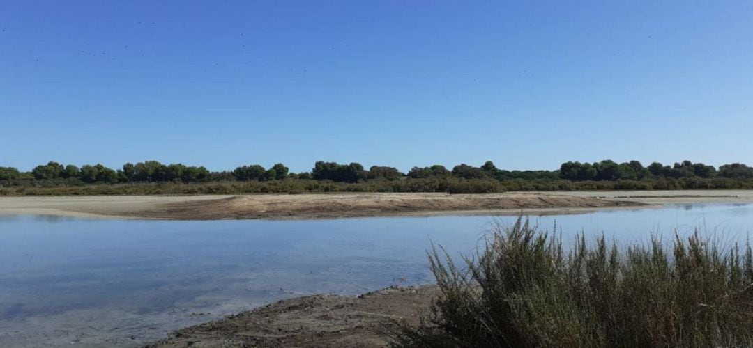 El lago de L&#039;Albufera de València