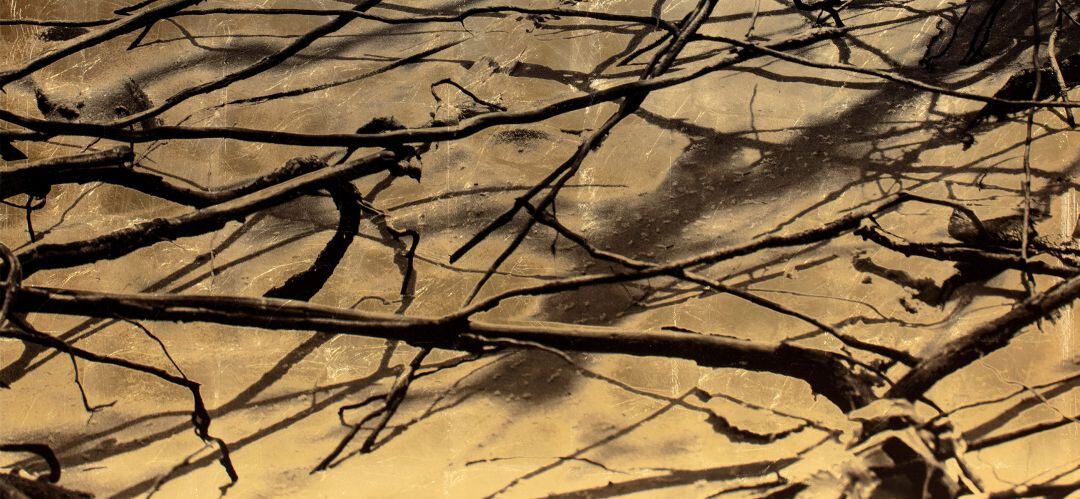 Una muestra de Paula Anta a base de cúmulos vegetales