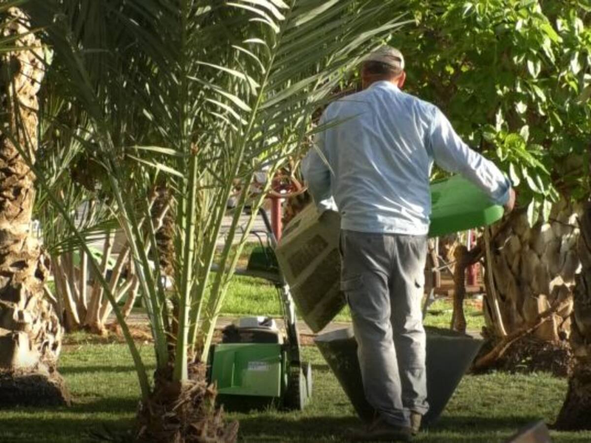 CCOO acusa a Granero de querer privatizar la limpieza de zonas verdes