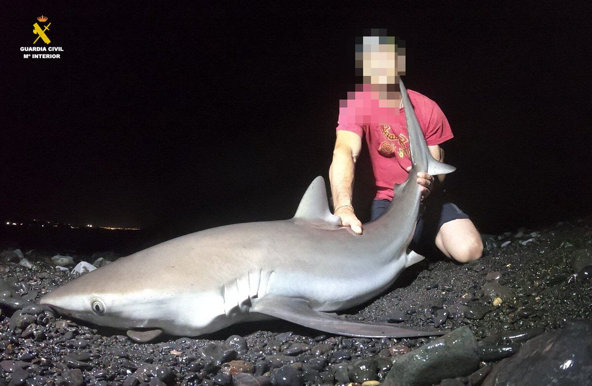 Imágenes del detenido con uno de los tiburones capturados.