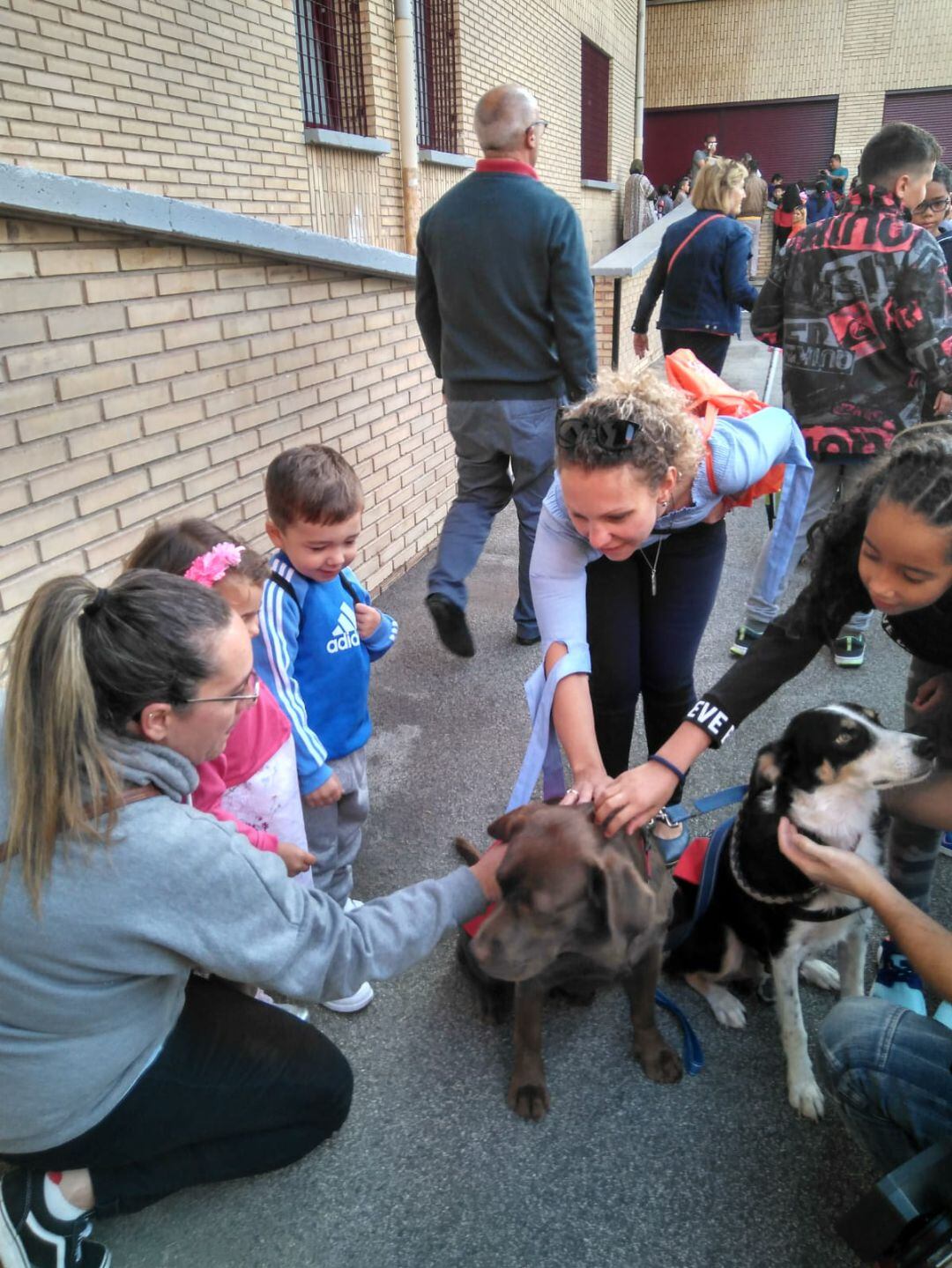 Perros de educación asistida participan en una vuelta al cole de lo más original
