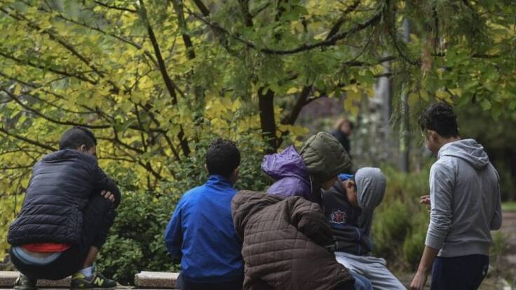 María Ubarretxena, portavoz del Gobierno vasco