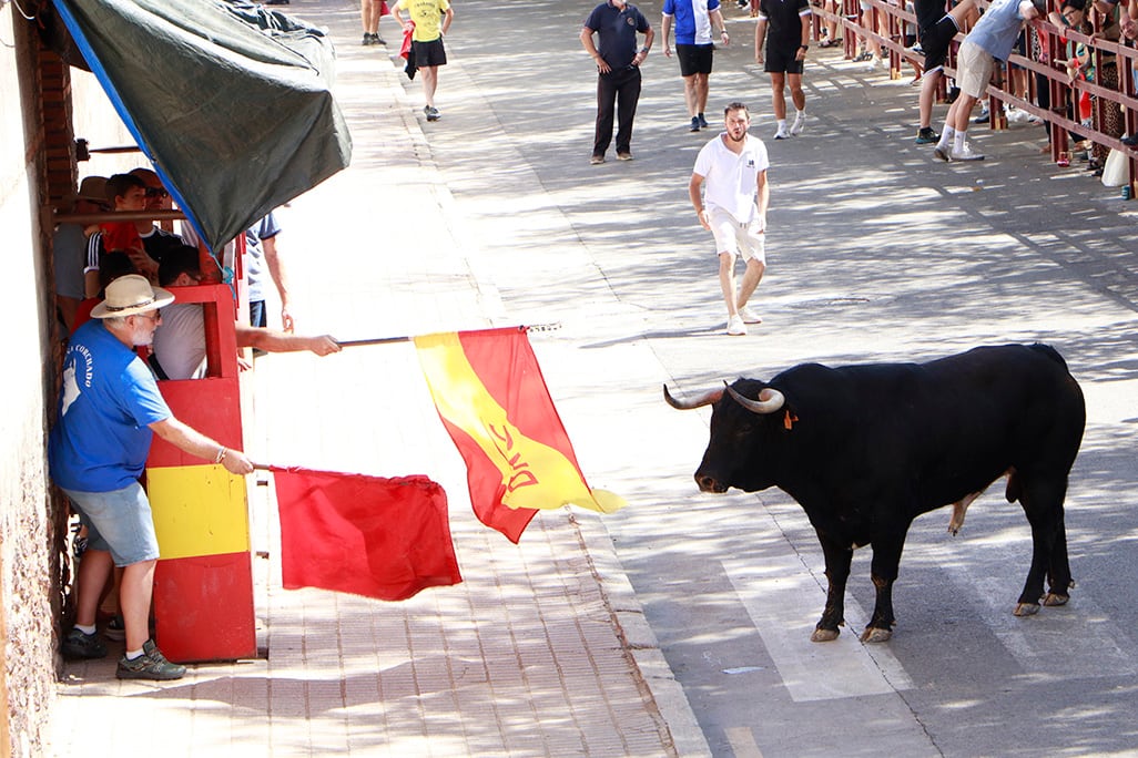 Segundo día de encierros en Almodóvar del Campo