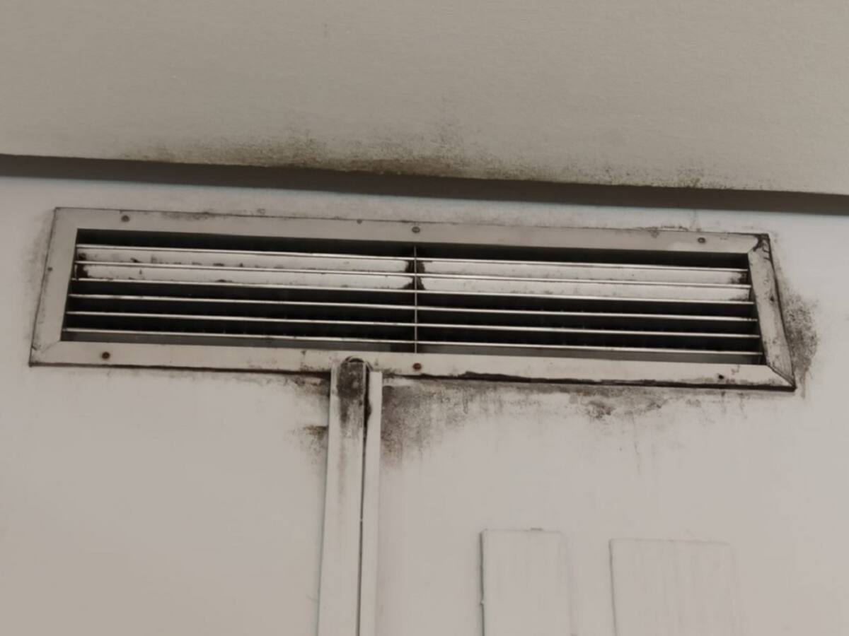 Dependencias policiales de Alicante sin aire acondicionado a 40 grados, con humedades y moho