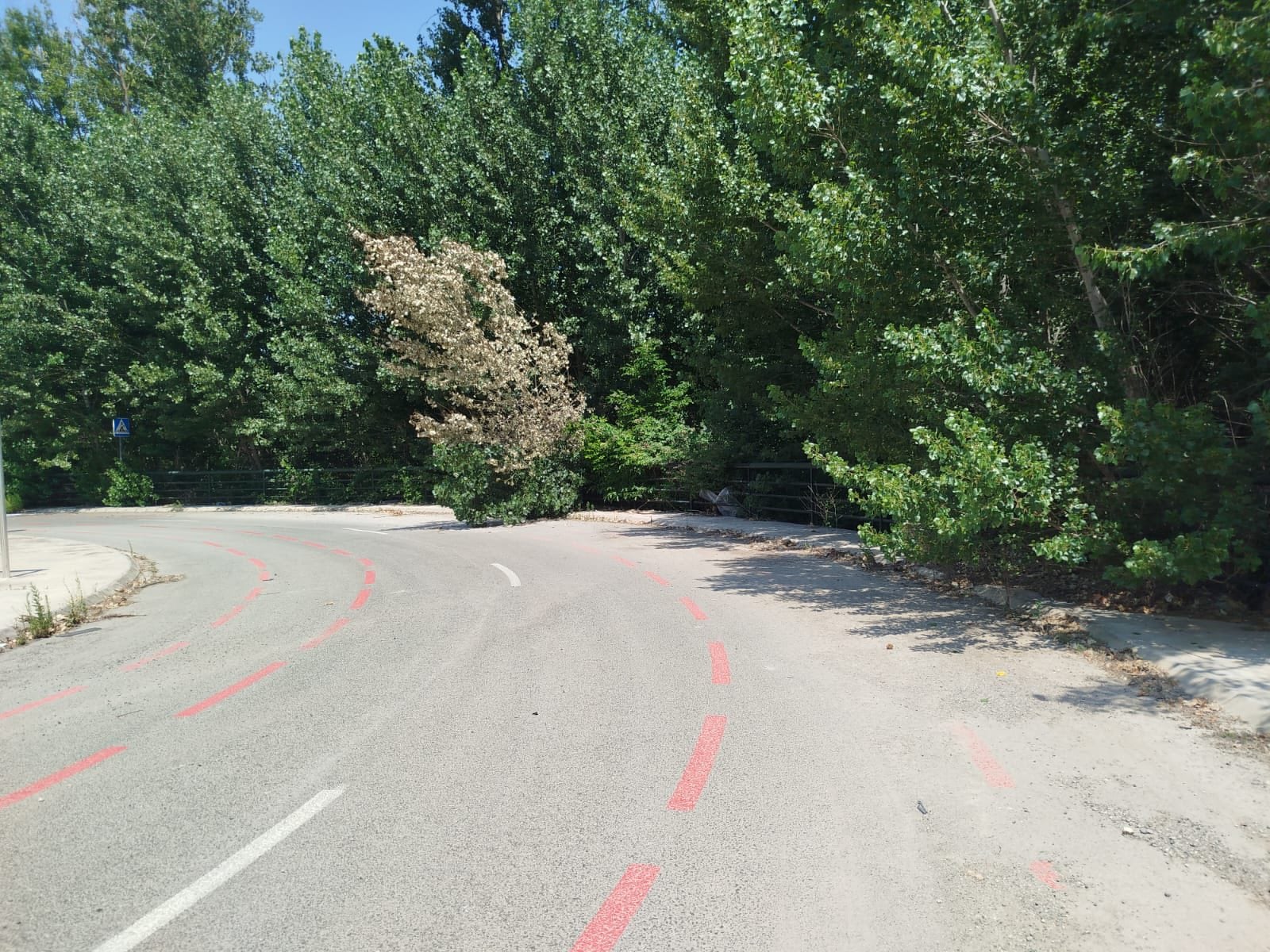 Estado de parques, jardines y zonas verdes