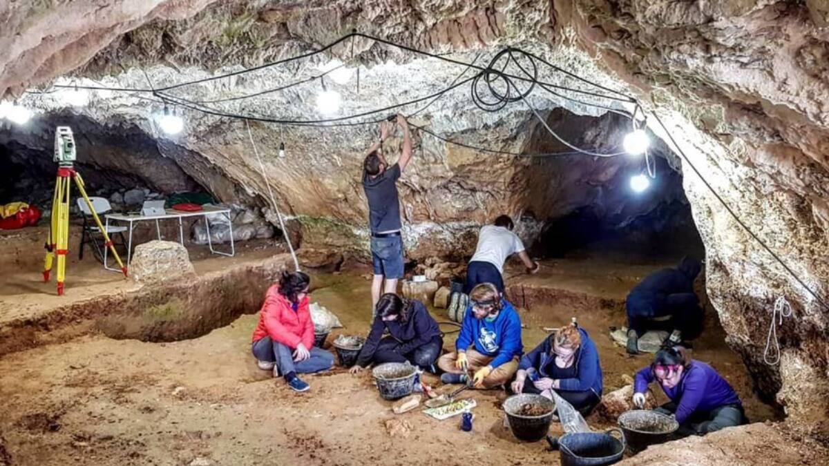 Prado Vargas permitirá conocer mejor a los neandertales