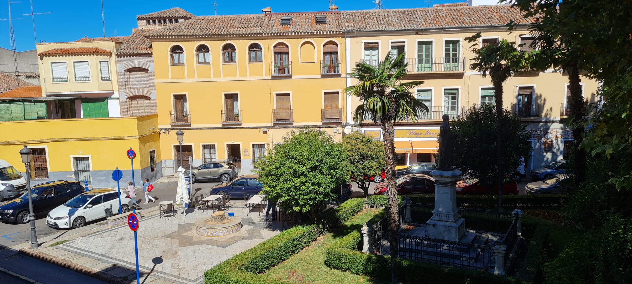 Se retirará la palmera de la plaza