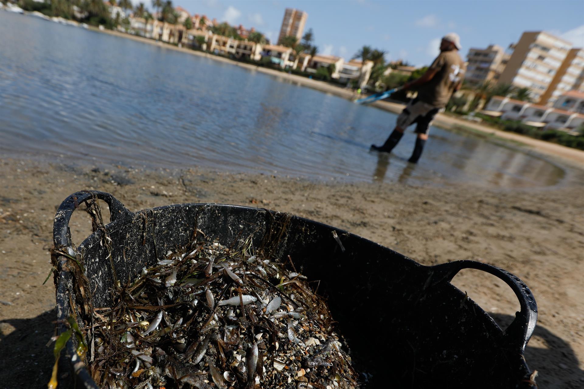 Una delegación del Parlamento Europeo visita desde este miércoles el entorno natural del Mar Menor