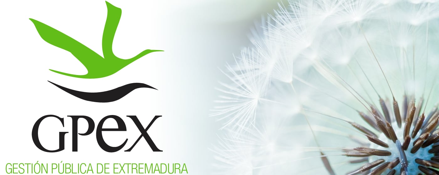 La empresa pública Gpex cambia los procedimientos de incorporación de personal