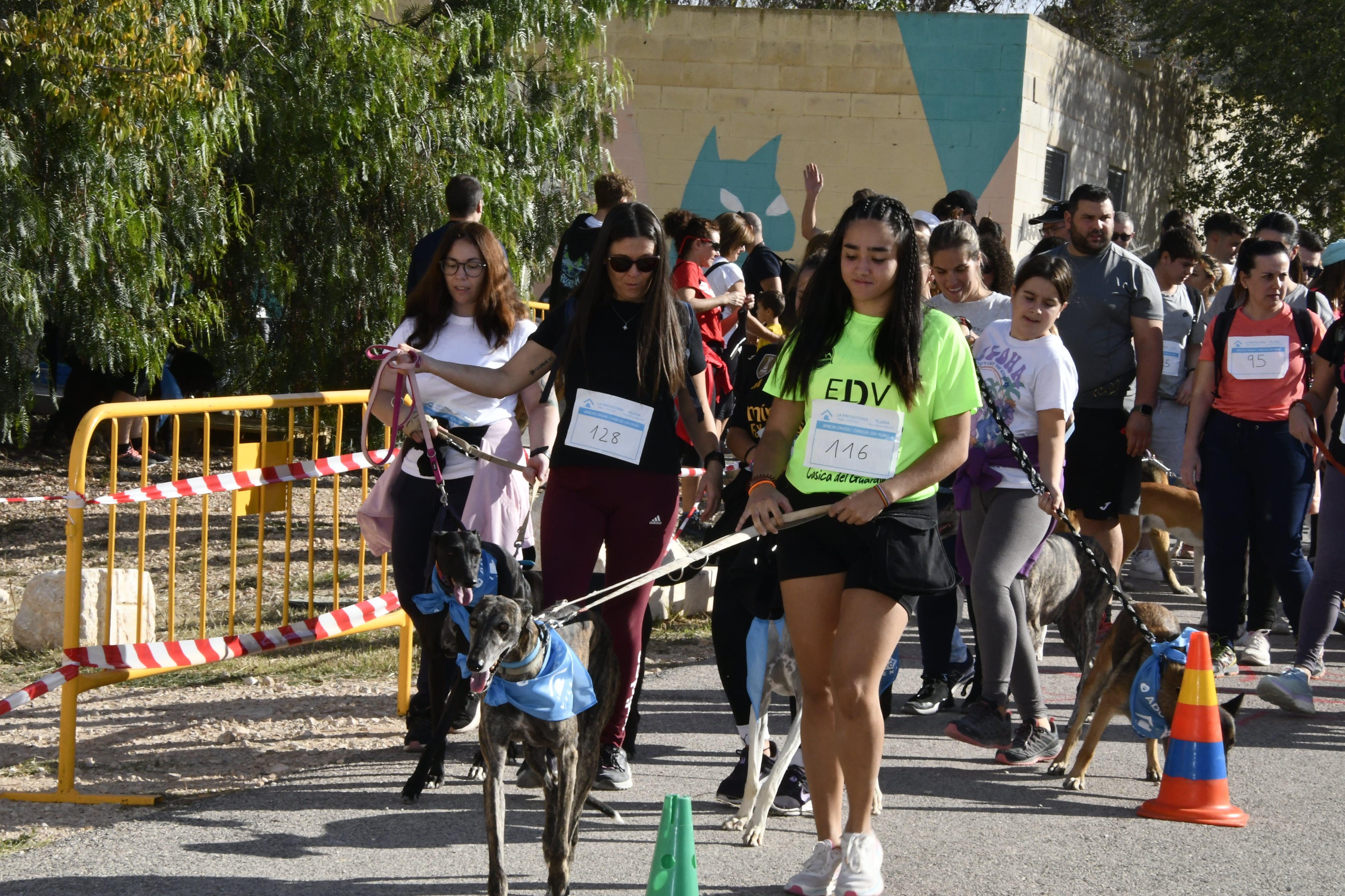 Imágenes de la marcha canina