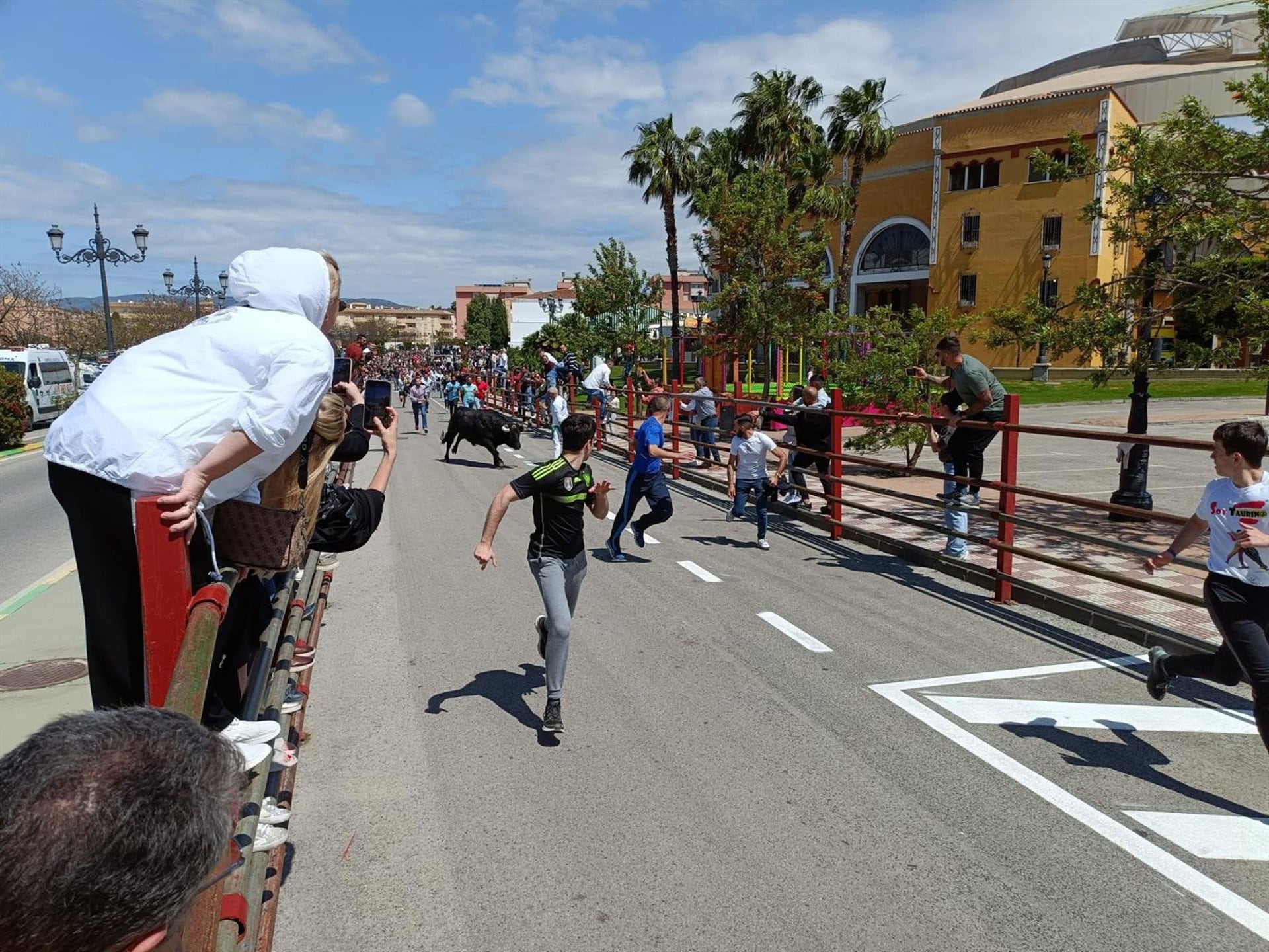 Toro Embolao en Los Barrios en una imagen de archivo
