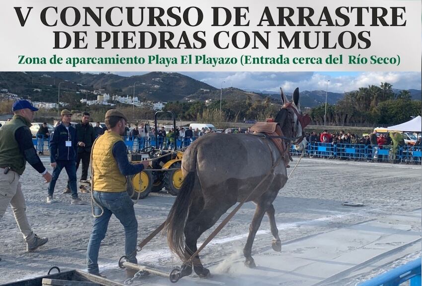 Cartel anunciador del concurso en Nerja (Málaga)