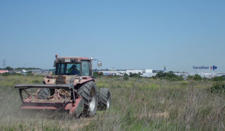 Primers moviments de terres als terrenys.
