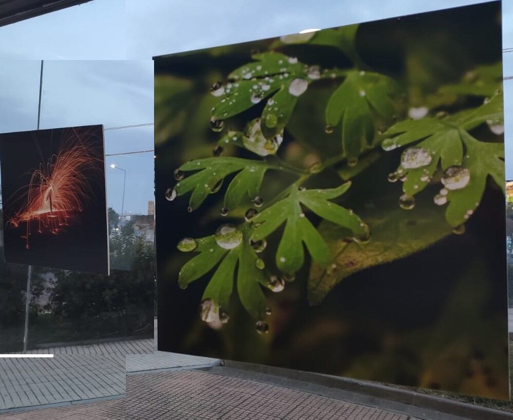 Fotografías que se exponen en la exposición