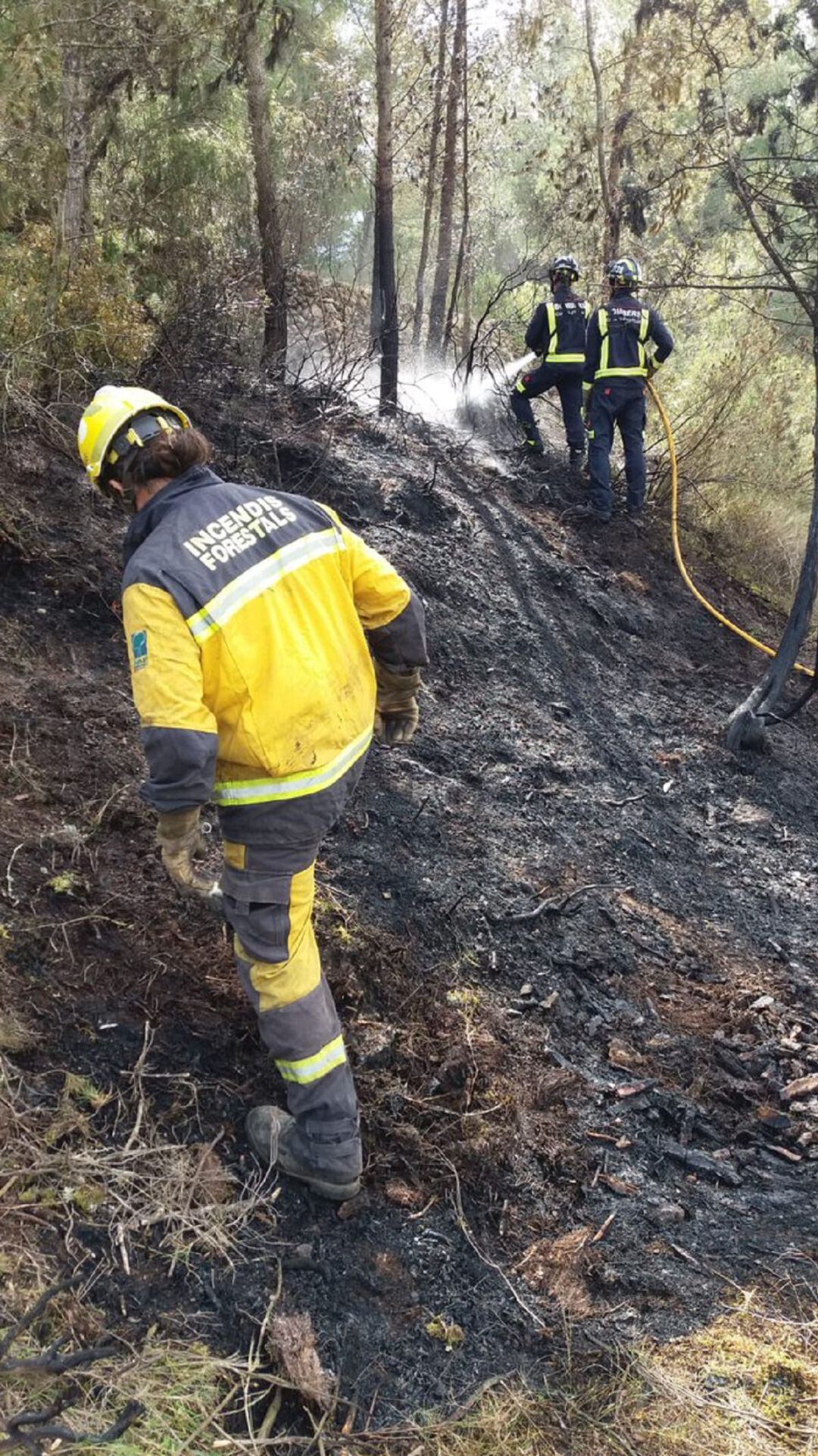 Imagen de archivo de efectivos del Ibanat extinguiendo un incendio